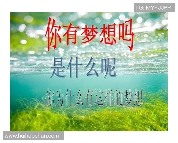 乒乓球场上的奋斗与梦想：赵芳的深度人生对话分享