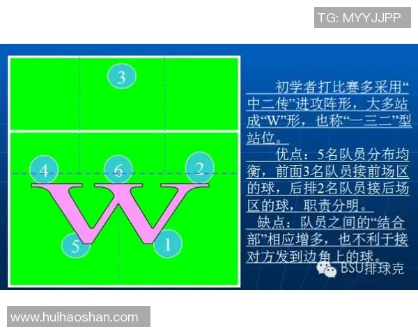 南京排球队反击战术解析与实战应用全景分析