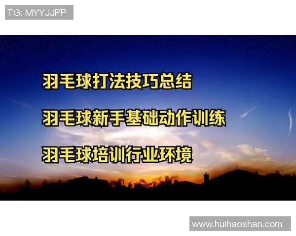 李伟独家揭秘羽毛球技巧与训练心得助你提升球技的全攻略