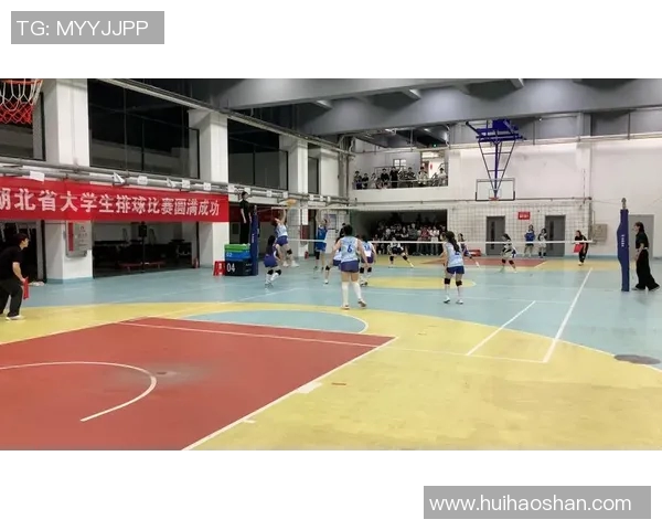 武汉排球队领跑最新排球灵活性TOP10榜单引发热议