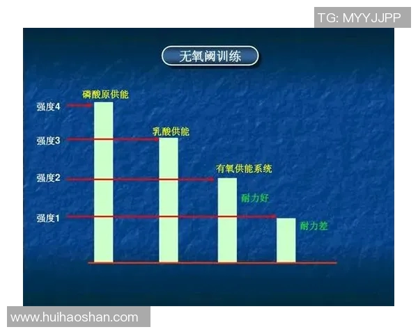 重庆羽毛球队战术表现数据分析与优化研究探讨